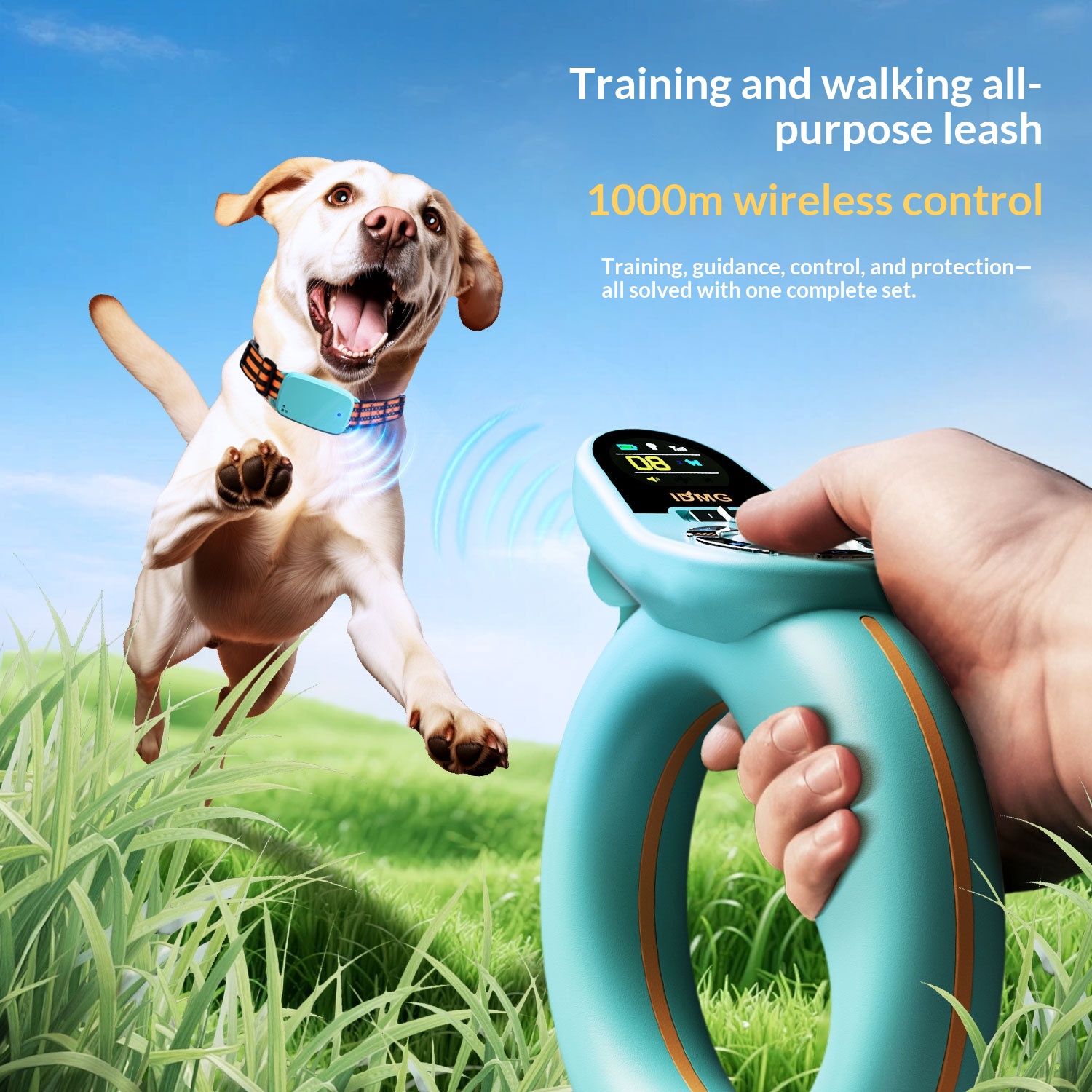 Inteligente Control Leash